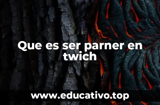 Que es ser parner en twich