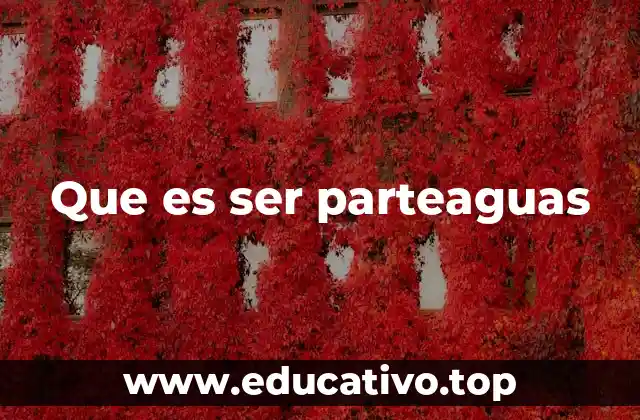 Que es ser parteaguas