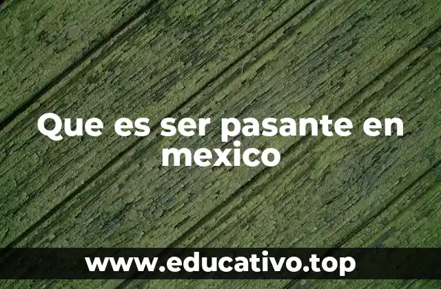Que es ser pasante en mexico