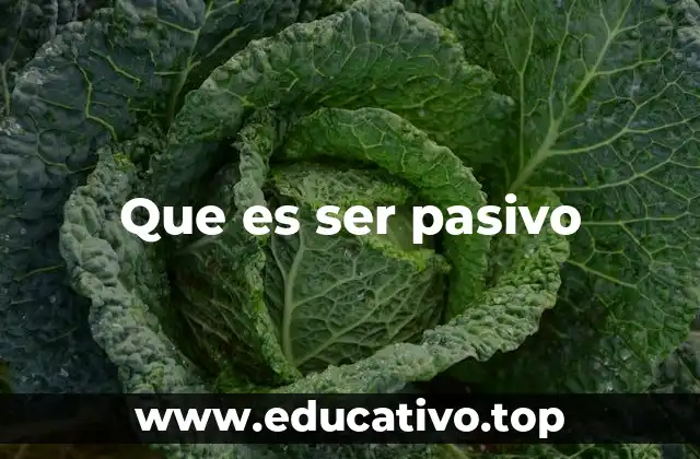 Que es ser pasivo