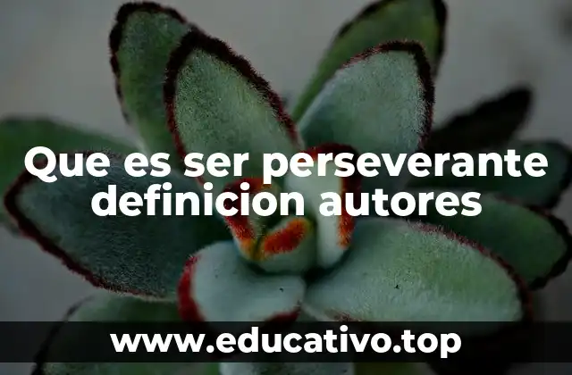 Que es ser perseverante definicion autores