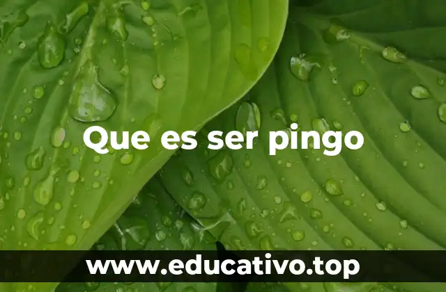 El uso del lenguaje coloquial para describir comportamientos