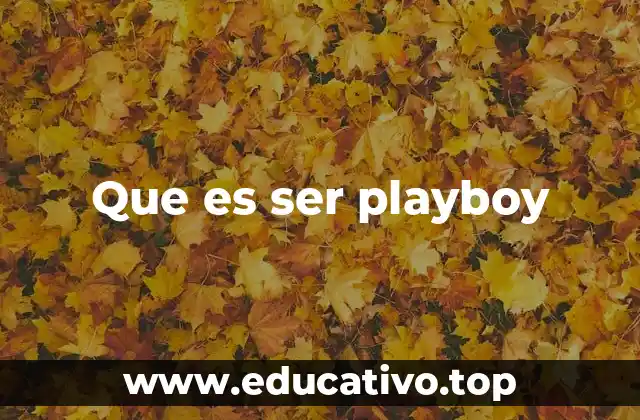 Que es ser playboy
