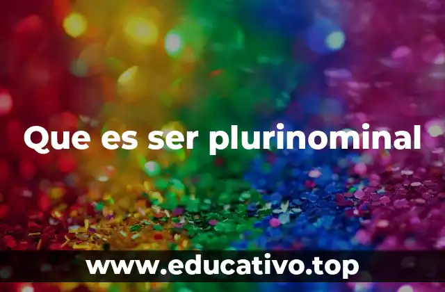 Que es ser plurinominal