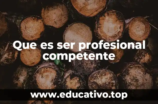Que es ser profesional competente
