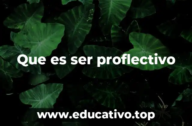 Que es ser proflectivo