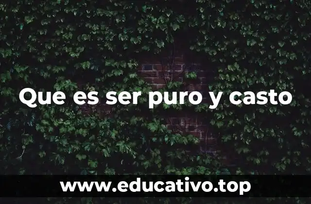 Que es ser puro y casto