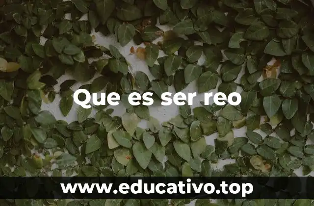 Que es ser reo