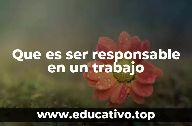 La importancia de la responsabilidad en el entorno profesional