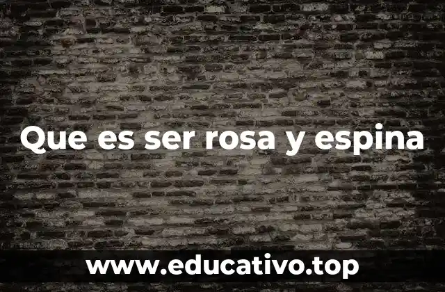 Que es ser rosa y espina