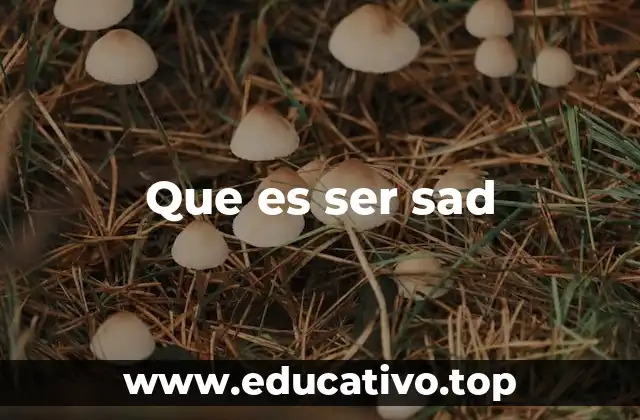Que es ser sad