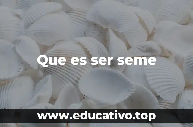 Que es ser seme