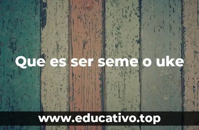 Que es ser seme o uke