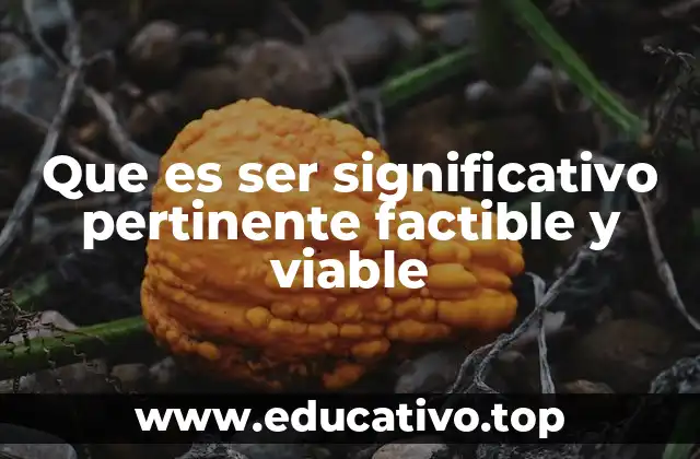 Que es ser significativo pertinente factible y viable