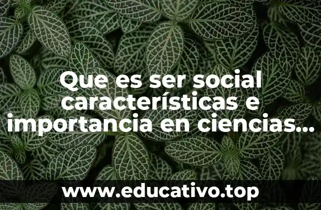 Que es ser social características e importancia en ciencias sociales