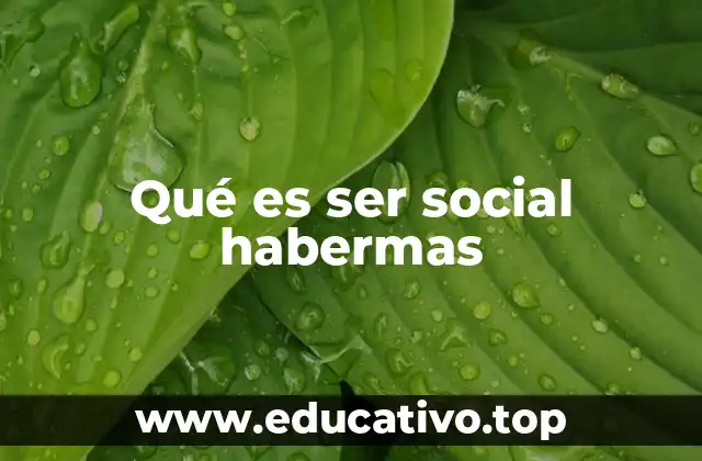 Qué es ser social habermas