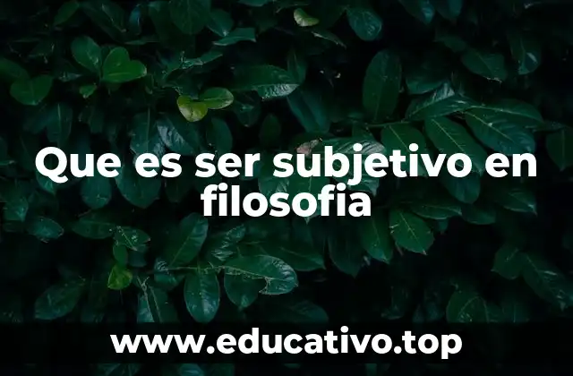 Que es ser subjetivo en filosofia