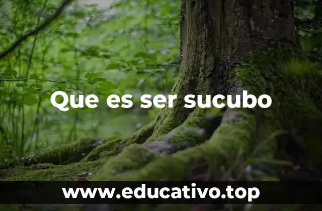 Que es ser sucubo