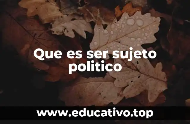 Que es ser sujeto politico