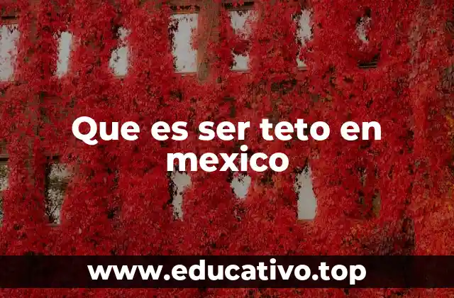 Que es ser teto en mexico