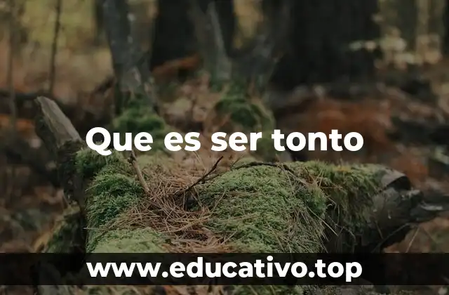 La percepción social del comportamiento que podría considerarse tonto