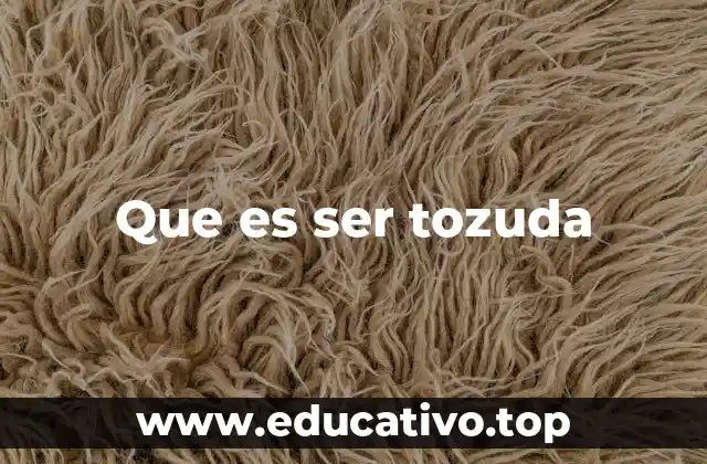 Que es ser tozuda