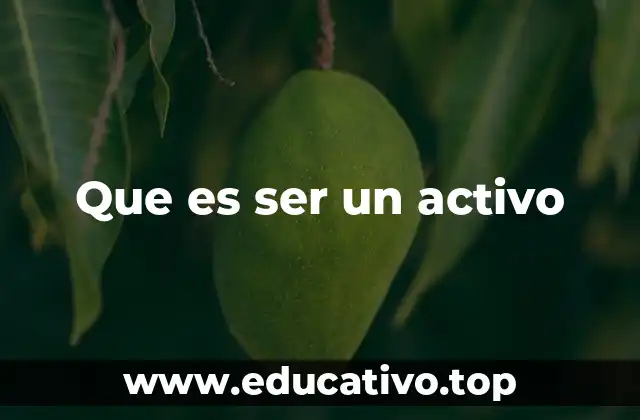 Que es ser un activo