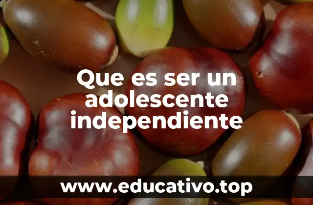 Que es ser un adolescente independiente