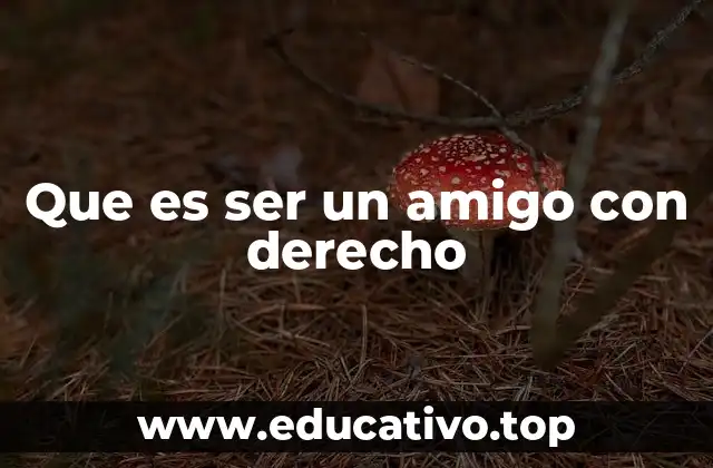 Que es ser un amigo con derecho