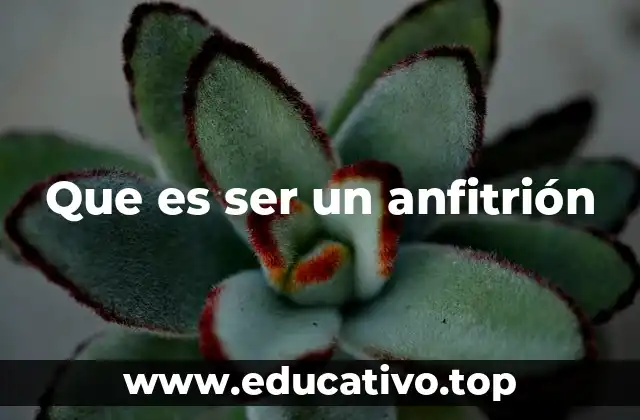 Que es ser un anfitrión