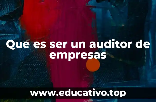 Que es ser un auditor de empresas