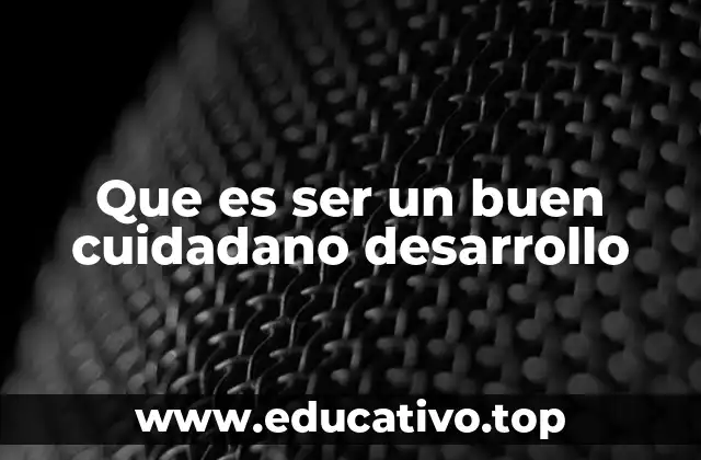 Que es ser un buen cuidadano desarrollo