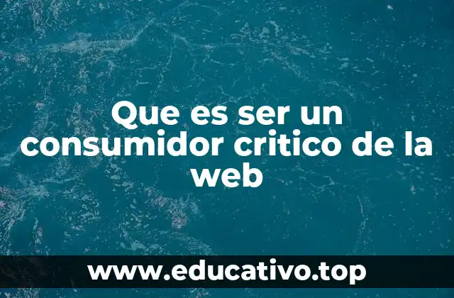 Que es ser un consumidor critico de la web