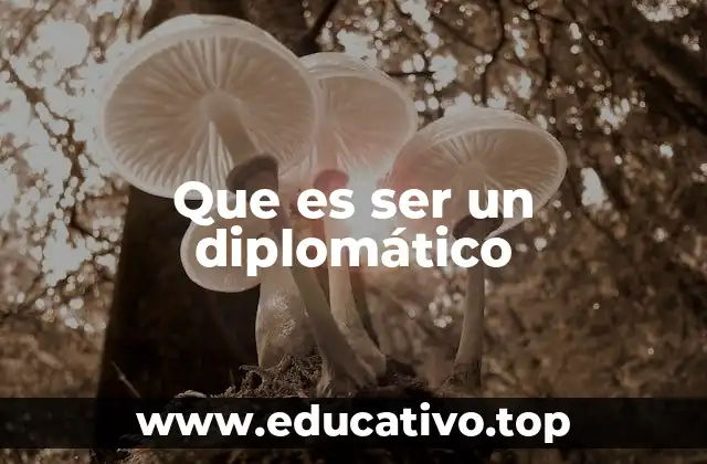 Que es ser un diplomático