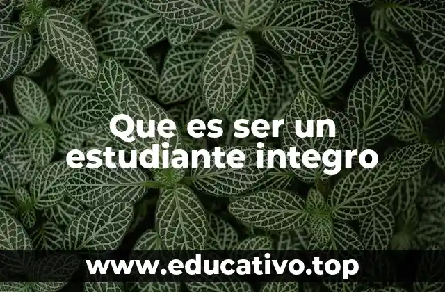 Que es ser un estudiante integro