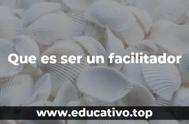 Que es ser un facilitador