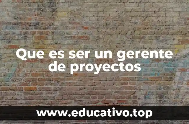 Que es ser un gerente de proyectos