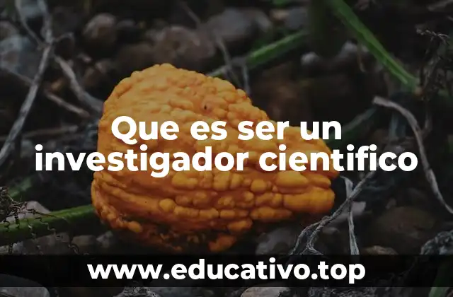 Que es ser un investigador cientifico