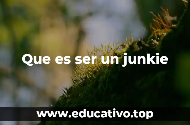 Que es ser un junkie
