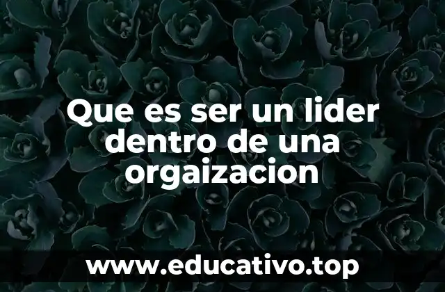 Que es ser un lider dentro de una orgaizacion