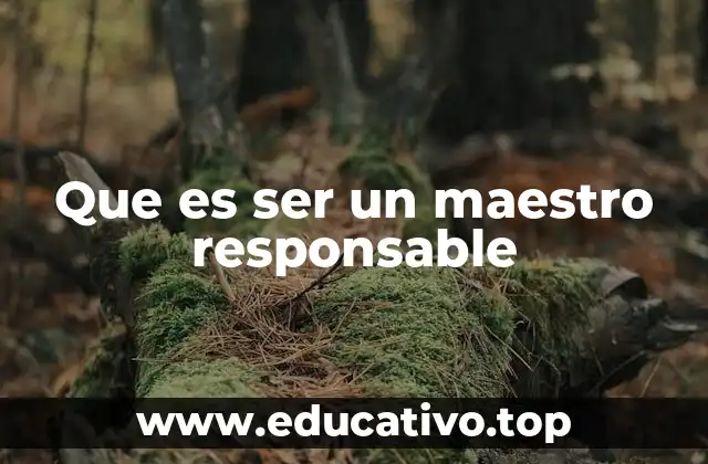 Que es ser un maestro responsable