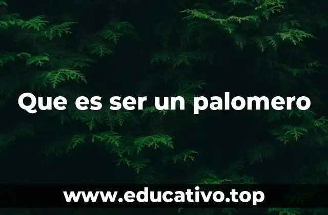 Que es ser un palomero