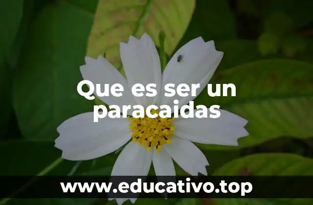 Que es ser un paracaidas