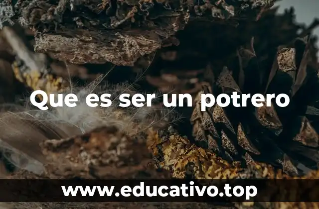 Que es ser un potrero