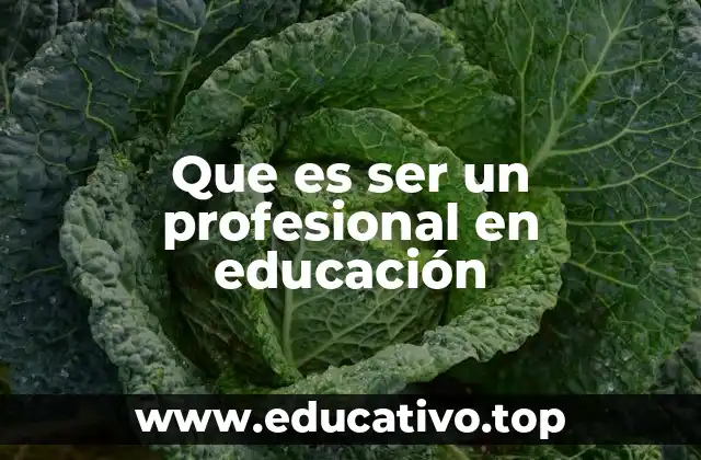 Que es ser un profesional en educación