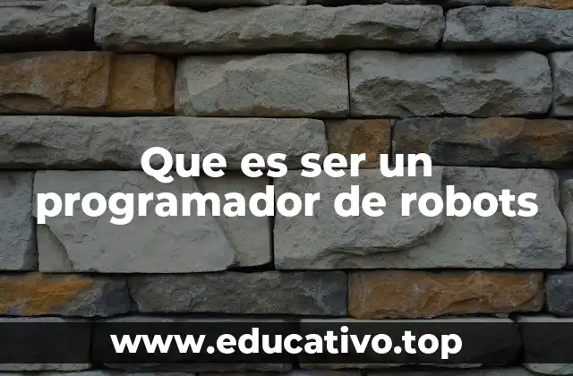 Que es ser un programador de robots