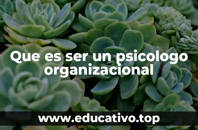Que es ser un psicologo organizacional