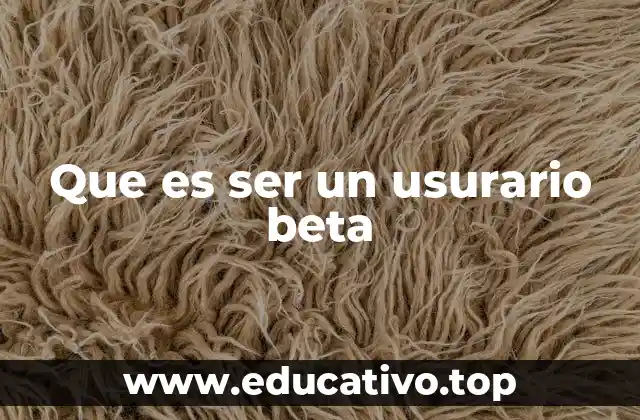 Que es ser un usurario beta