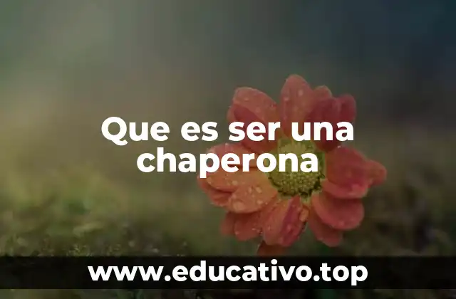 Que es ser una chaperona