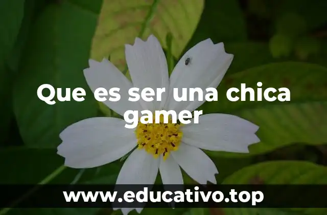Que es ser una chica gamer